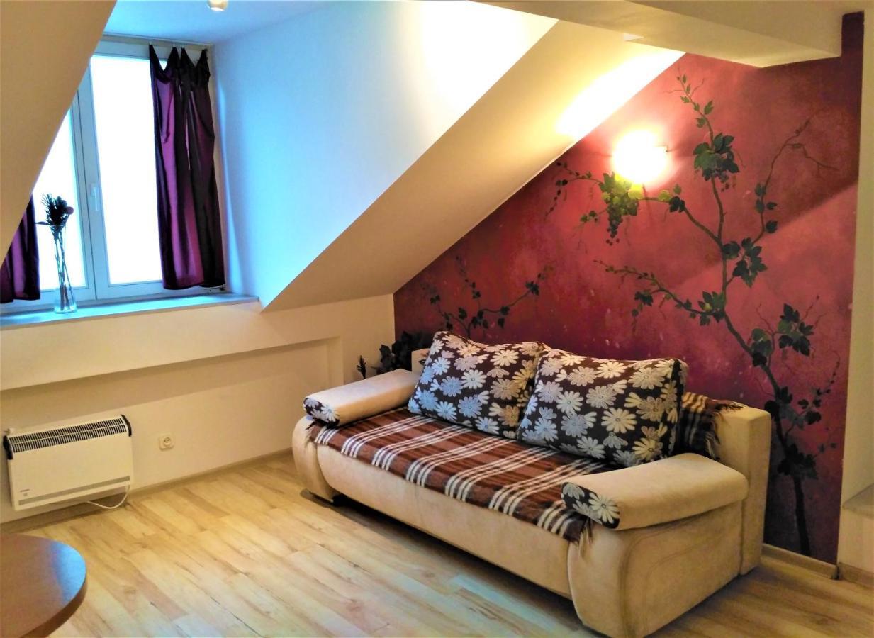 Krakow City Centre Apartment - Bon Turystyczny Buitenkant foto